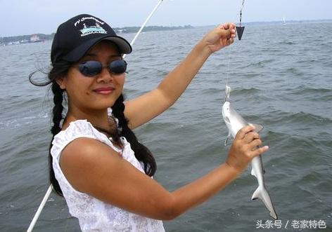 鲨鱼，今天小编教大家做鲨鱼肉这道菜、鲨鱼基本生活习性大概知识