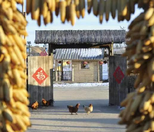 perfect完美,perfect完美抖音团购