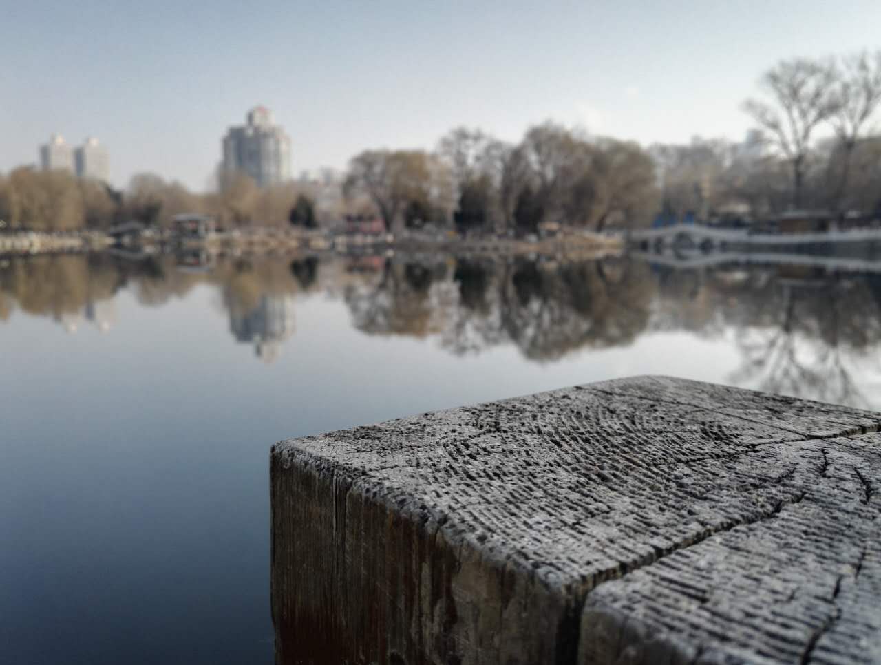 三月阳光明媚微风不燥,三月春暖花开阳光正好微风不燥