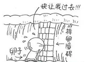 卵泡为什么不破裂,卵泡长成了为啥不破