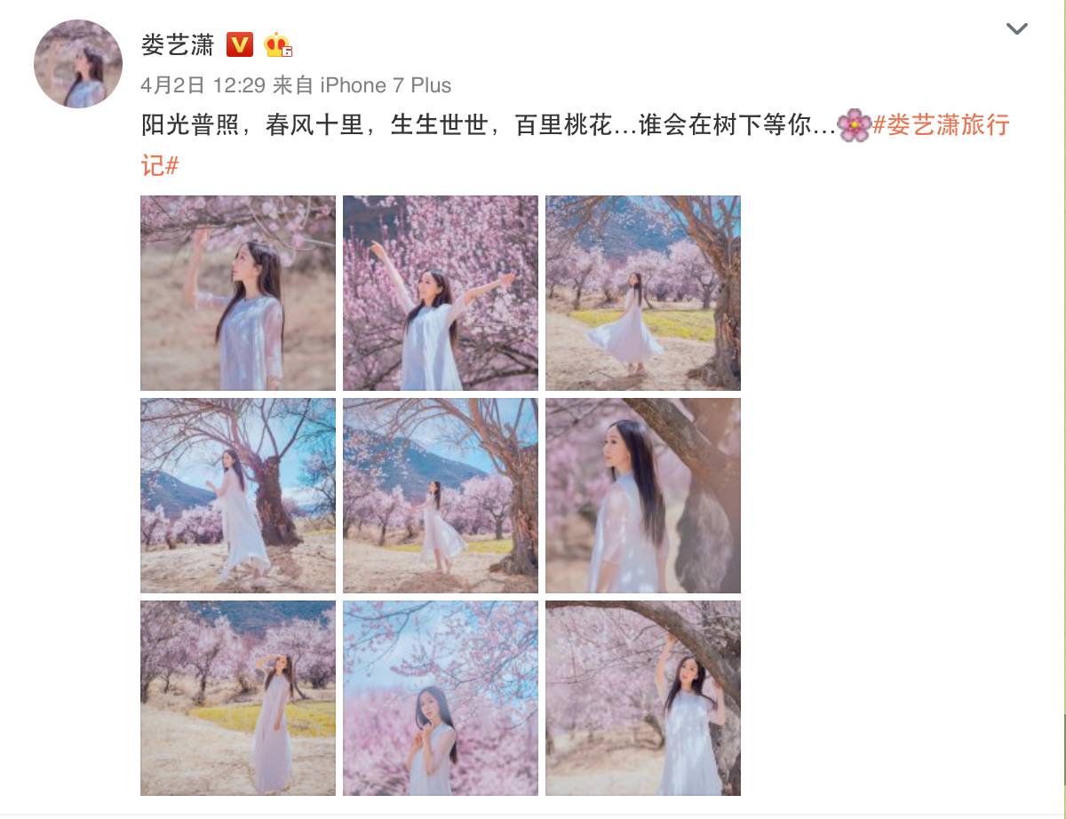 爱情公寓5为什么不拍了,那些年爱情公寓演员的变化