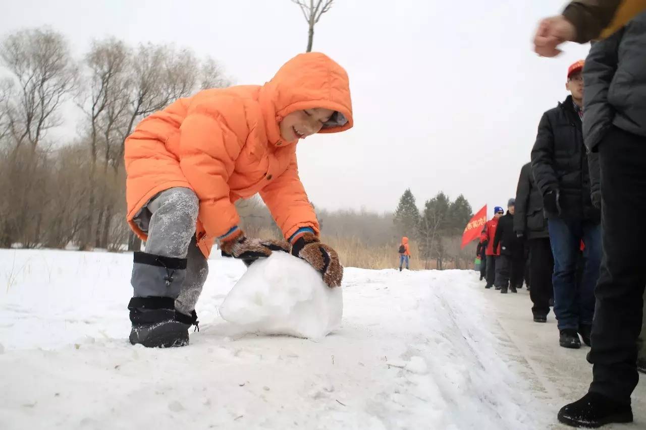 赏冰乐雪游龙江,赏雪玩冰之旅攻略