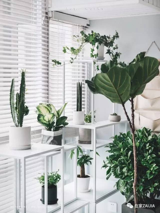 柔和舒适的房屋,小巧温馨舒适的房子