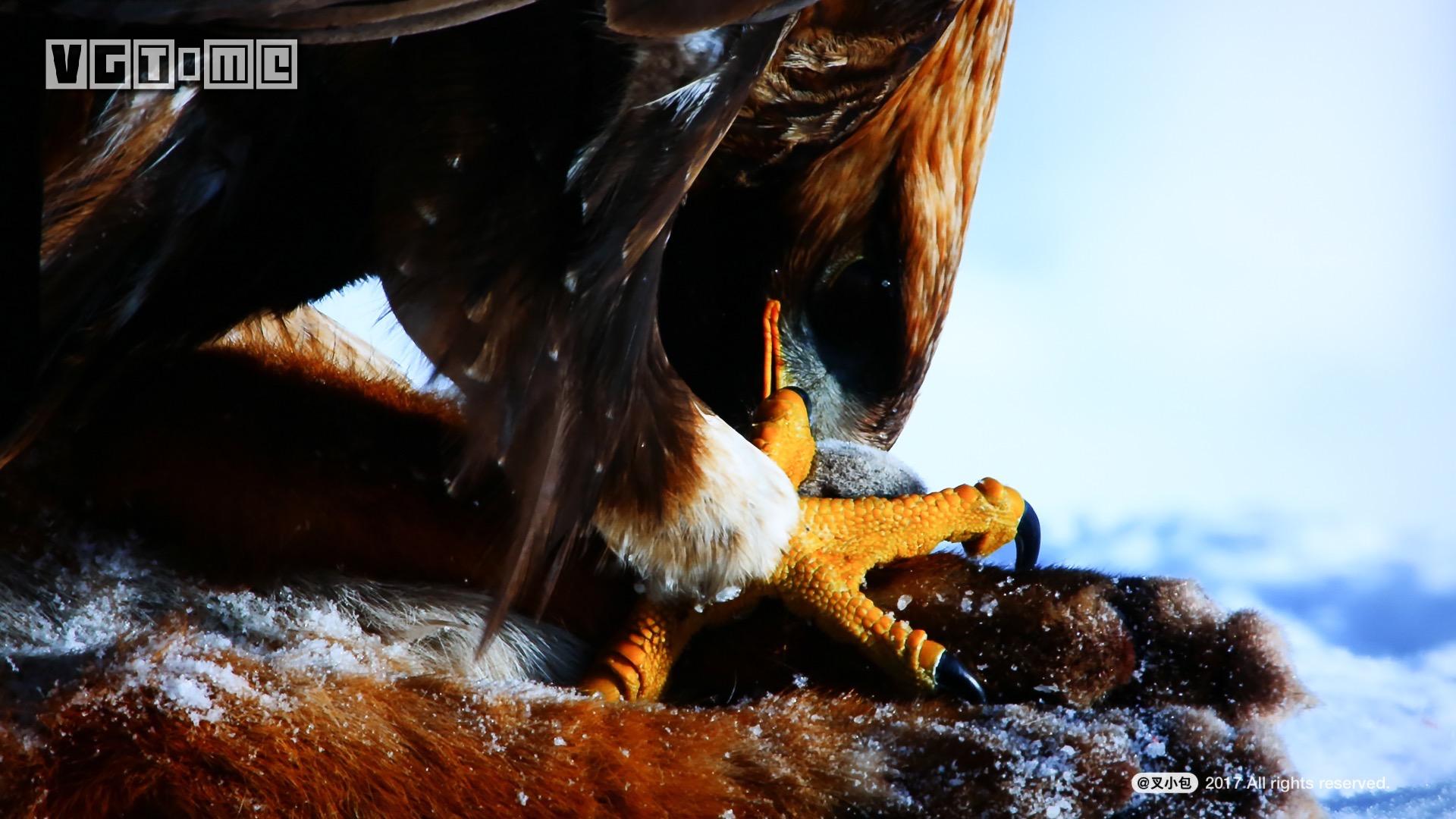 索尼4k电视哪个系列好,未来已来高清