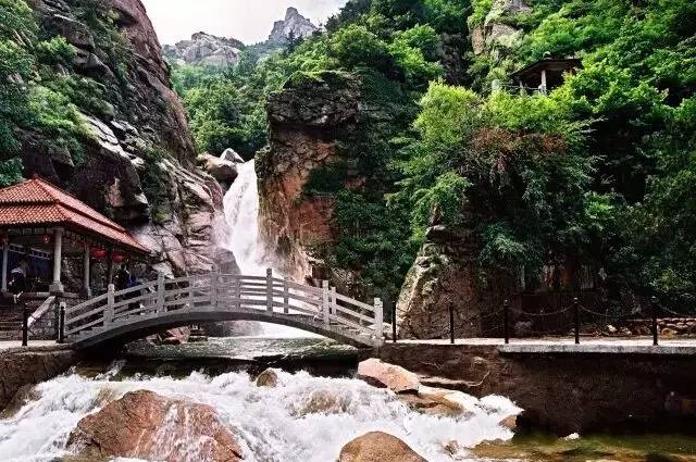 青岛上榜“最受追捧海洋游目的地”“7月份最佳避暑旅游城市”！是的，来青岛避暑就对了！