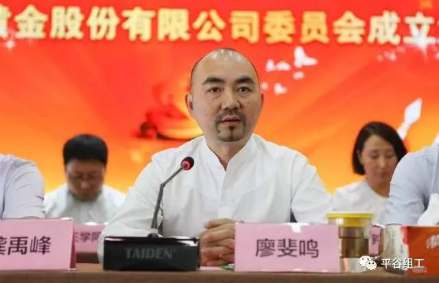 国金黄金股份有限公司年报,国金黄金股份有限公司总经理