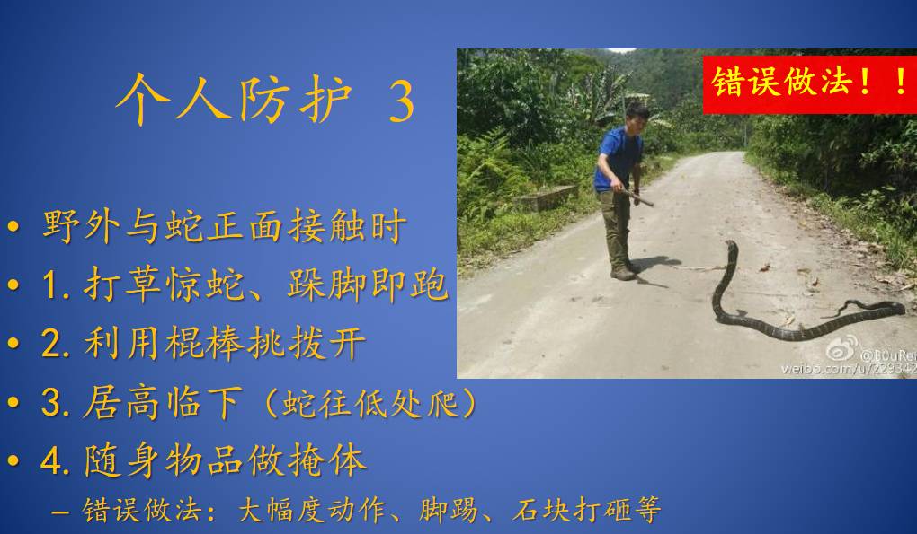 原来，这些救治毒蛇咬伤的方法都不靠谱