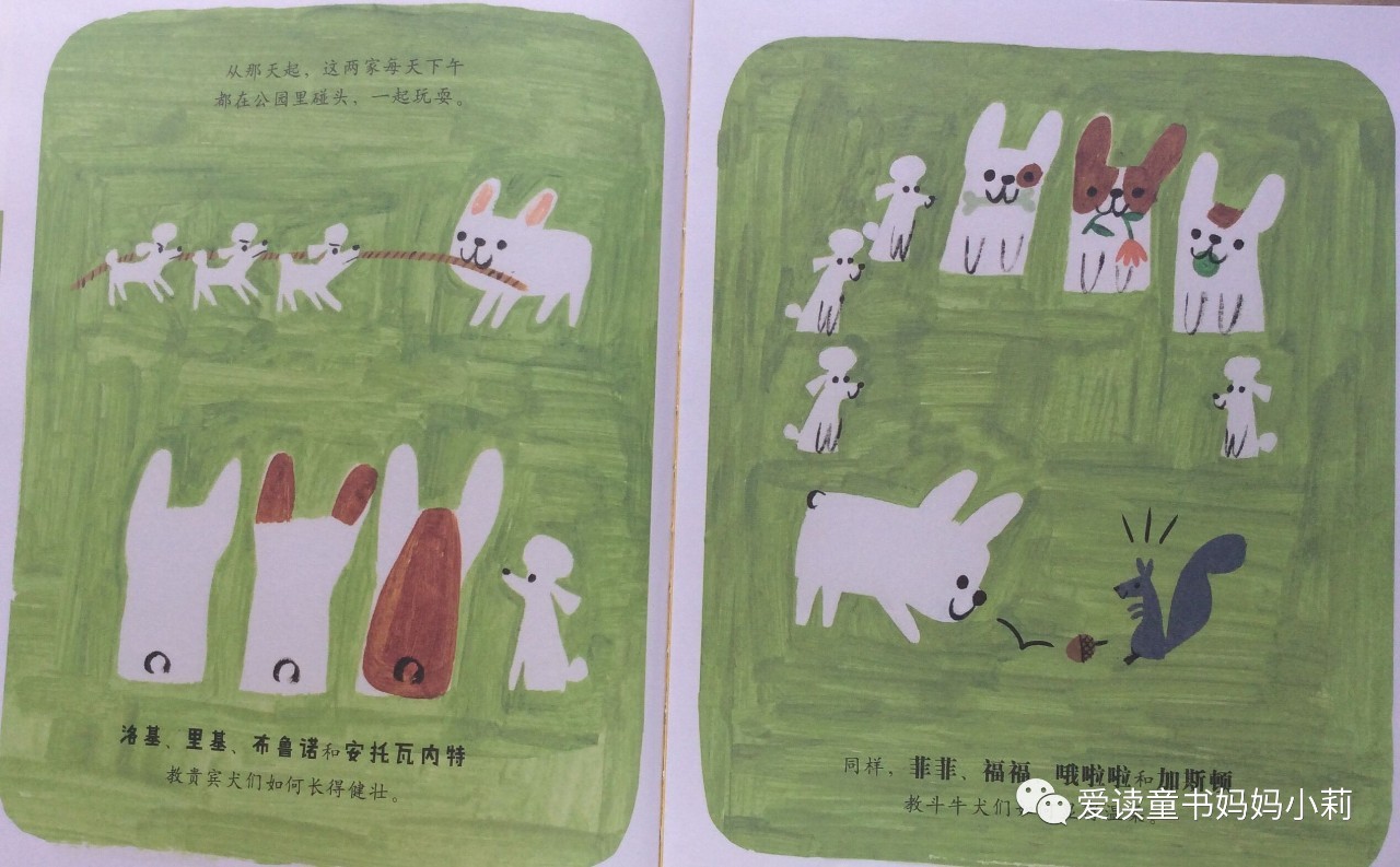 农场主，家庭主妇，音乐家，巴菲特为什么不让孩子继承自己的商业帝国