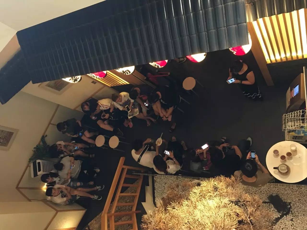 金钱豹自助餐现在怎么样了,金钱豹自助餐怎么样