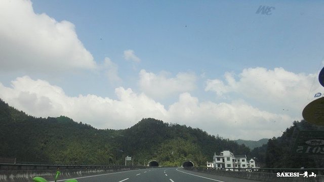 金毛萨克斯,金毛挑战全部视频