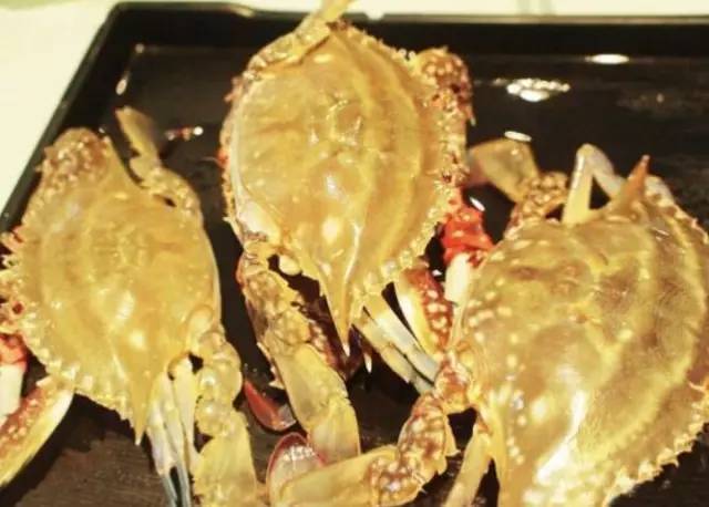 哈尔滨素食自助餐厅十三元一位,哈尔滨值得去的自助餐厅