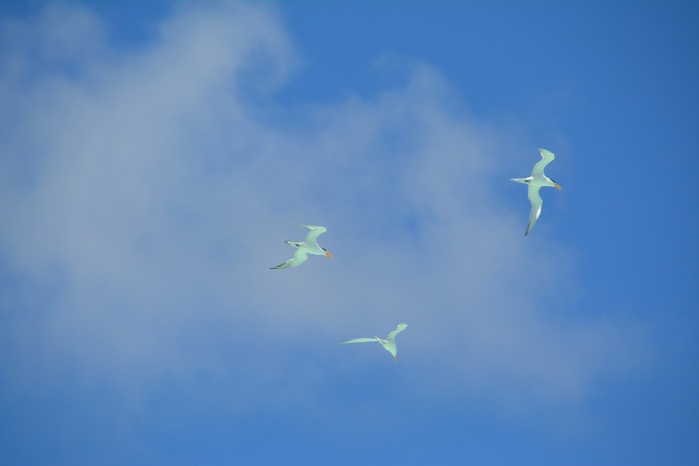 马尔代夫哈库拉岛好不好,马尔代夫哈库拉岛6日自助游