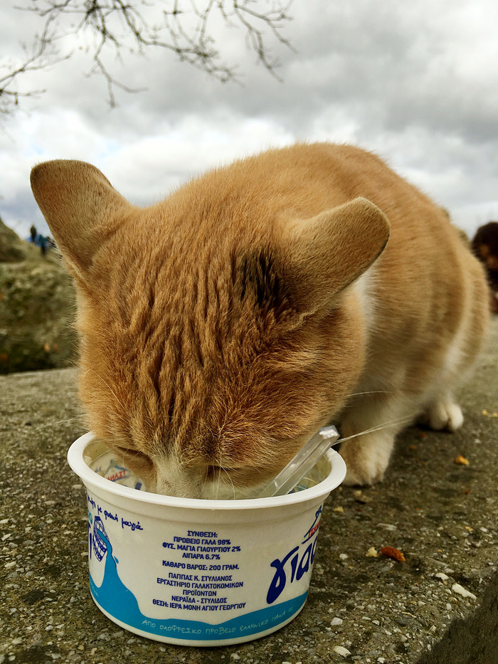 远离城市的喧嚣在静谧的时光里,远离城市的喧嚣静静的感受海浪