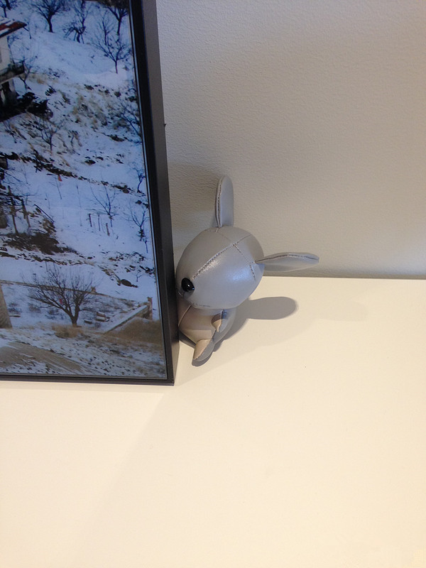 房子轻奢简装,高品质家装拎包入住