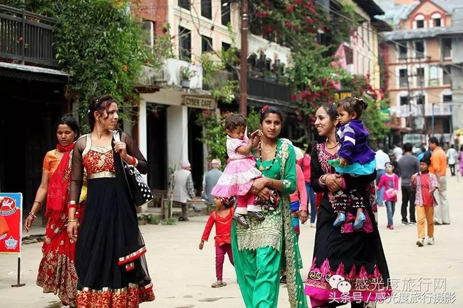 尼泊尔国歌唯一百花盛开的国度,尼泊尔百花图片