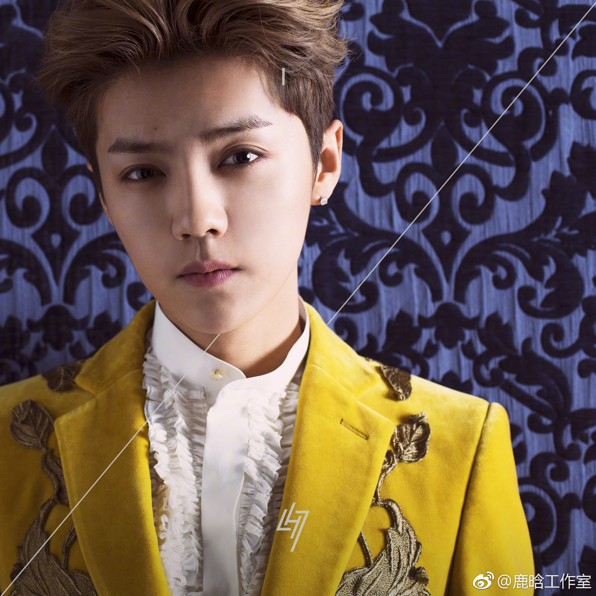 鹿晗原色乐评,鹿晗线上演唱会乐评