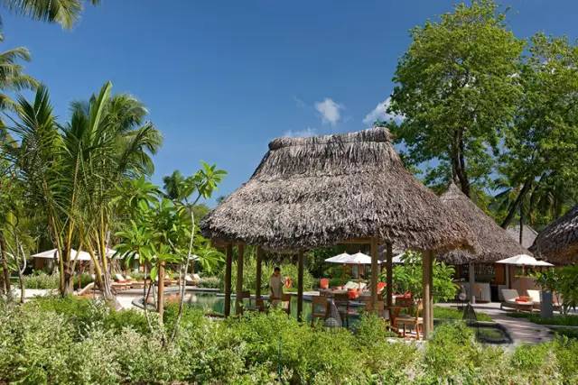 去塞舌尔用不用护照,塞舌尔护照免签国2024