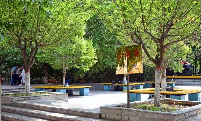 学长带你逛校园西安翻译学院,西安翻译学院学姐带你练口语