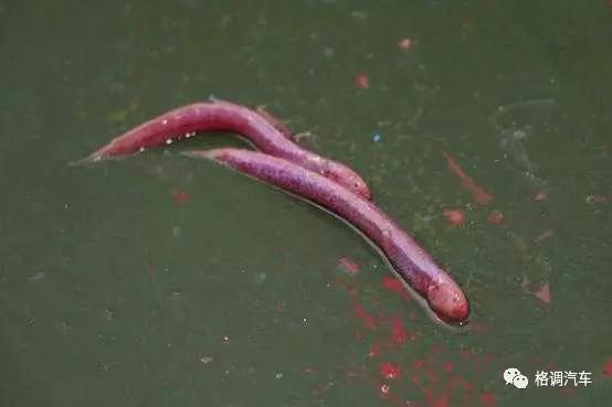 青岛毕业旅行三日游,毕业旅游自由行攻略