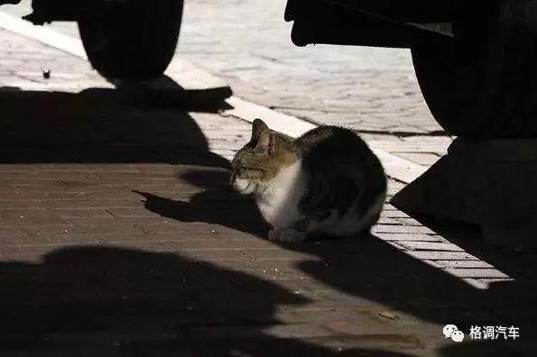 青岛毕业旅行三日游,毕业旅游自由行攻略