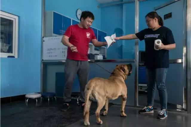 狗生如梦｜ONE实验室