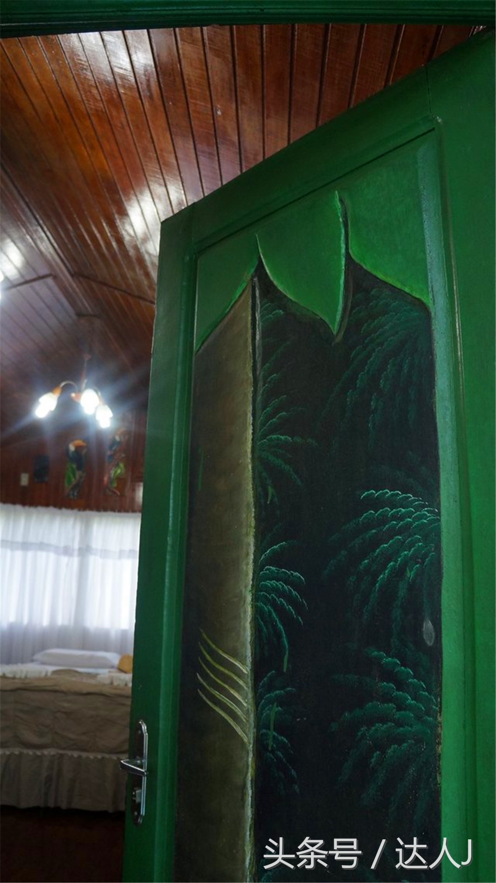 从亚马逊雨林到安纳托,最靠近亚马逊丛林的城市