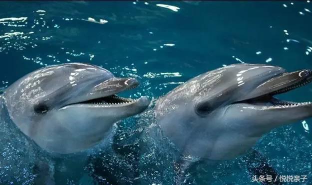 单飞露营,露营还可以做哪些活动