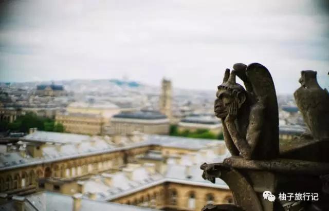 有惊无险大难不死,有惊无险现场完整版