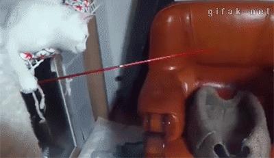 三人行必有我师其二,三人行必有我师2