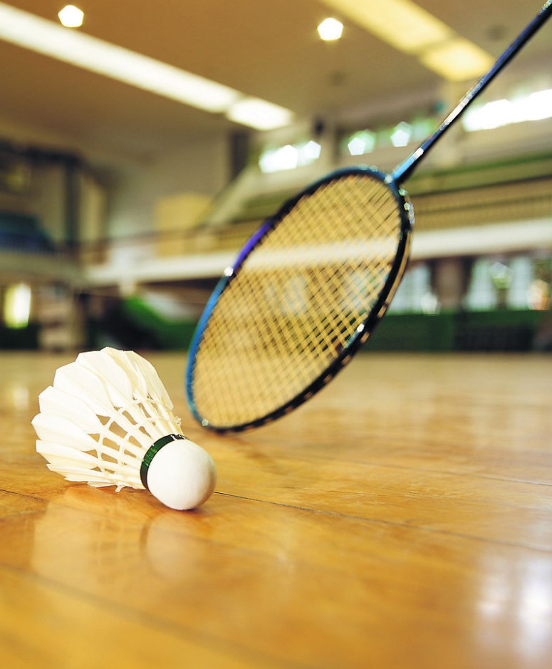 牛津阅读树theswingball,牛津树theswingball精读