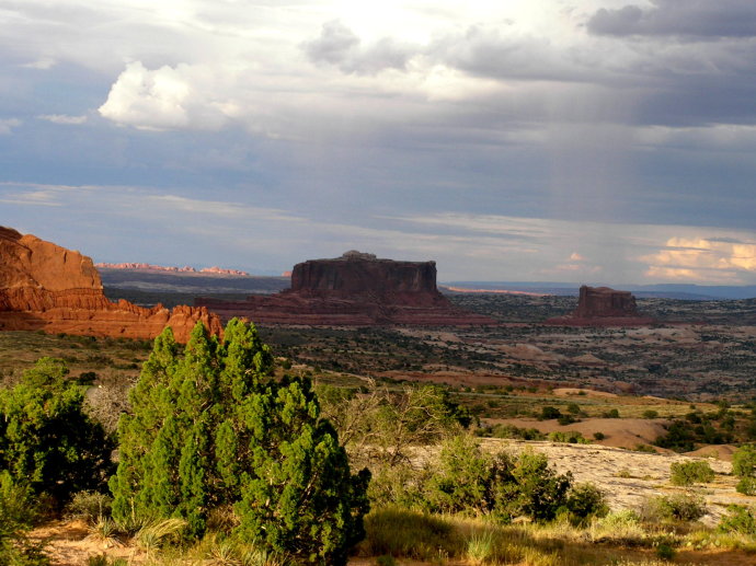 美西大峡谷简介,美国红杉国家公园一日游