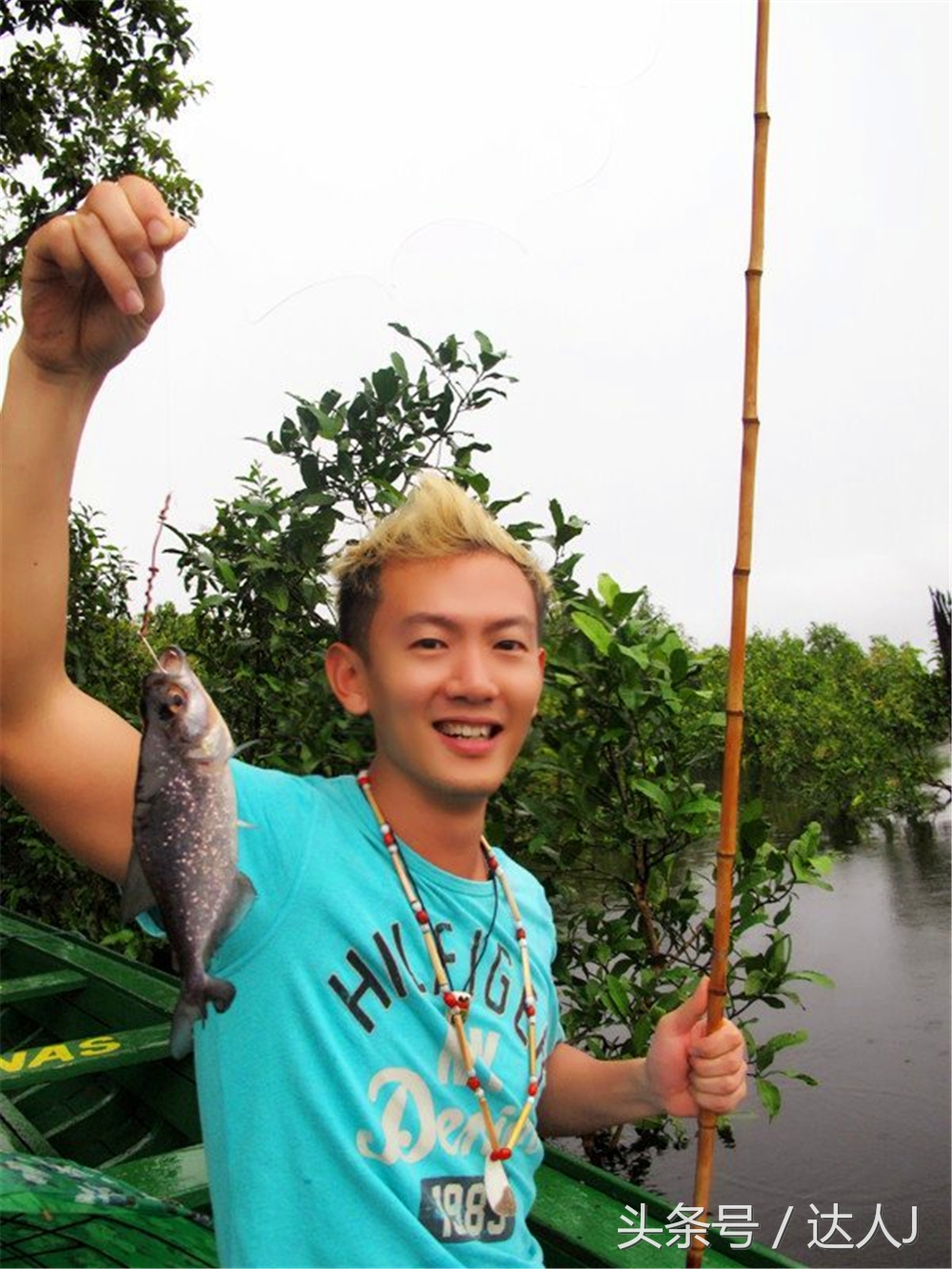 从亚马逊雨林到安纳托,最靠近亚马逊丛林的城市