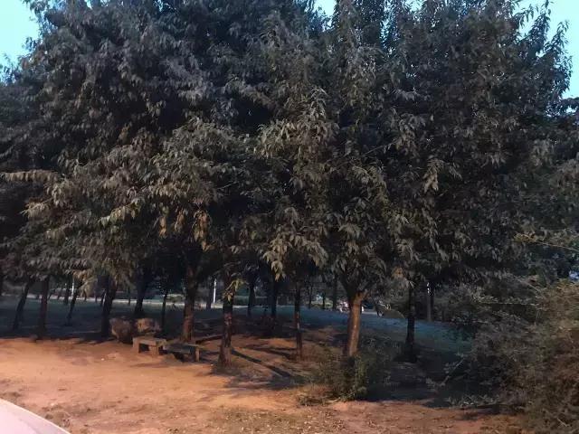 天津瑞景最值得买的房,天津瑞景最好的房子