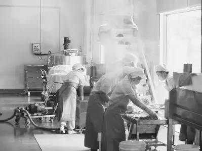 龙文智造｜政融生物：首开大陆酵素生产先河