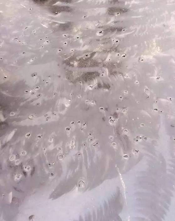 防水起泡怎么处理,涂完防水有气泡