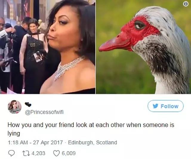 撒盐宝贝、斜眼鸭，上半年被歪果网友玩坏的那些梗！