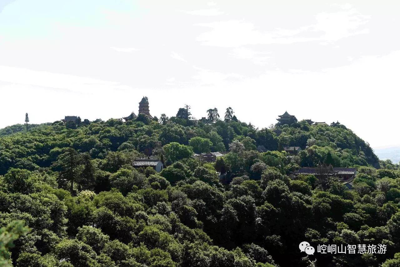 平凉真的凉吗,平凉为什么这么冷