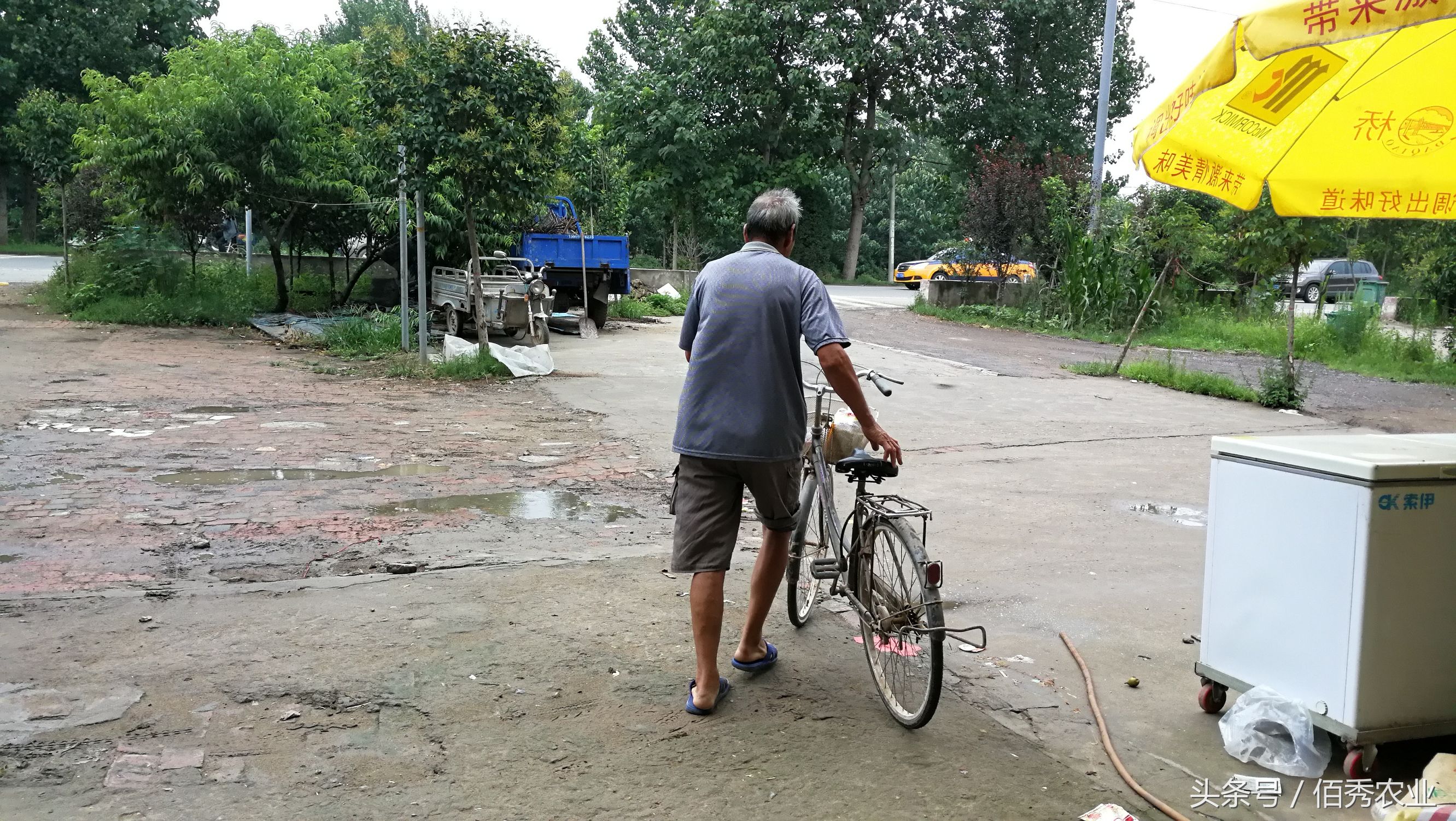 农资店不卖农药可以么,农资店不卖农药怎么办