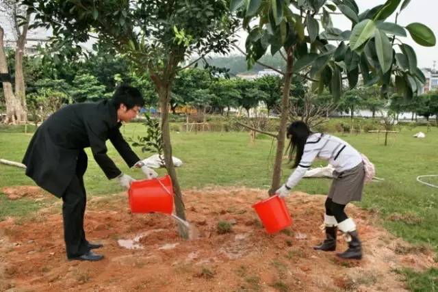 隐藏在森林里的现代别墅,隐藏在深山的豪宅
