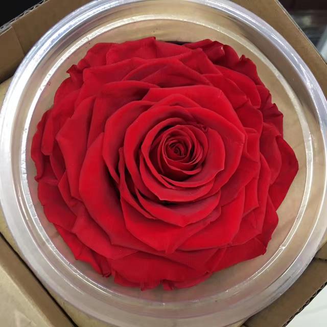 永生花行业的市场现状,永生花很难卖吗