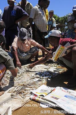 海滩捕鱼的几种方法,海边捕鱼吃海鲜视频大全