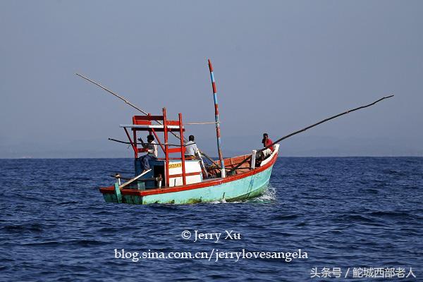 海滩捕鱼的几种方法,海边捕鱼吃海鲜视频大全