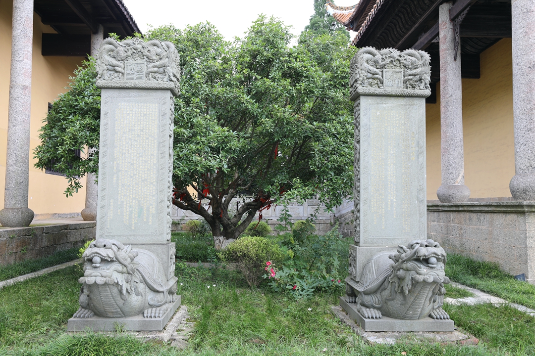 法海在禅房修炼,法海在杭州待在哪个寺庙