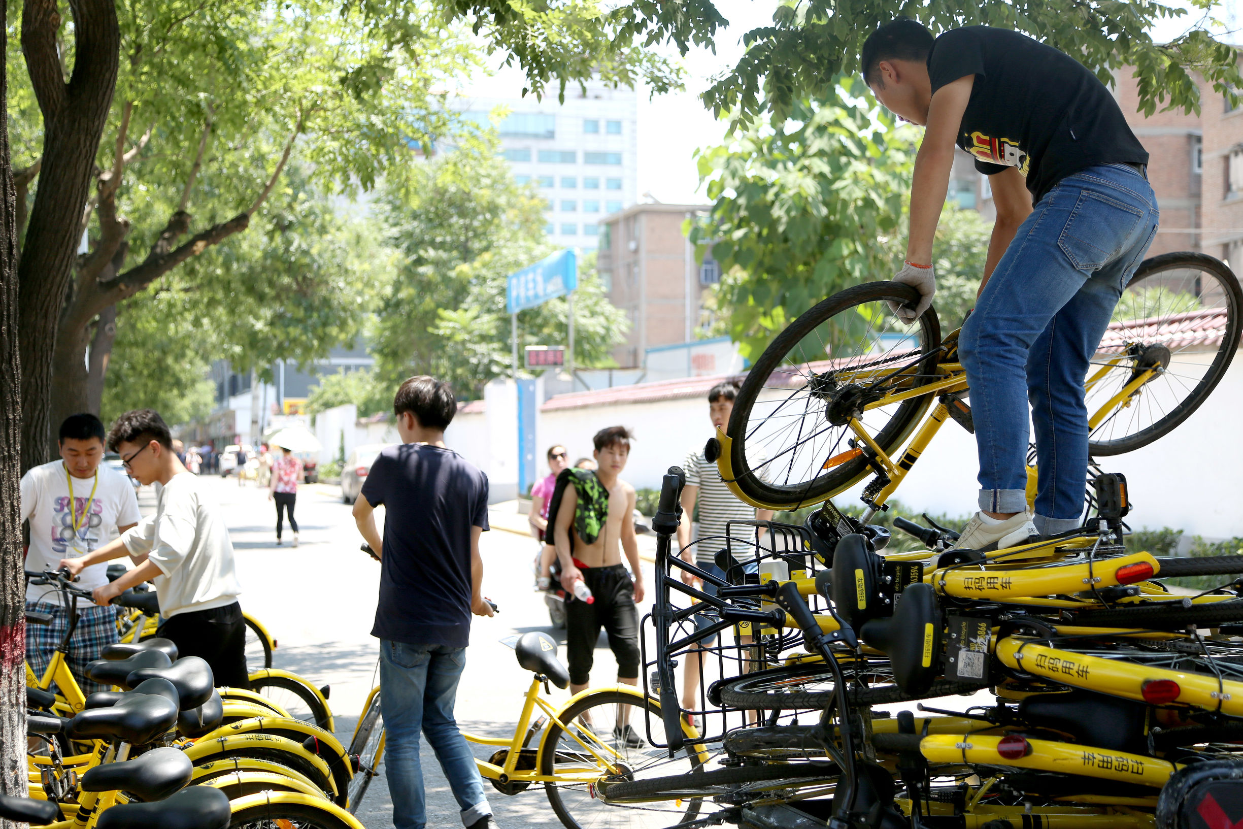 公共交通工作者,共享单车工作人员自述