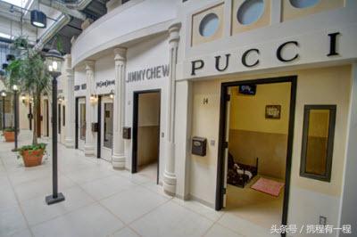 王思聪可以带狗上飞机吗 (王思聪飞机可以带狗吗)