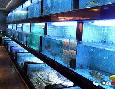 三伏天适合吃什么海鲜,三伏天能吃什么海鲜