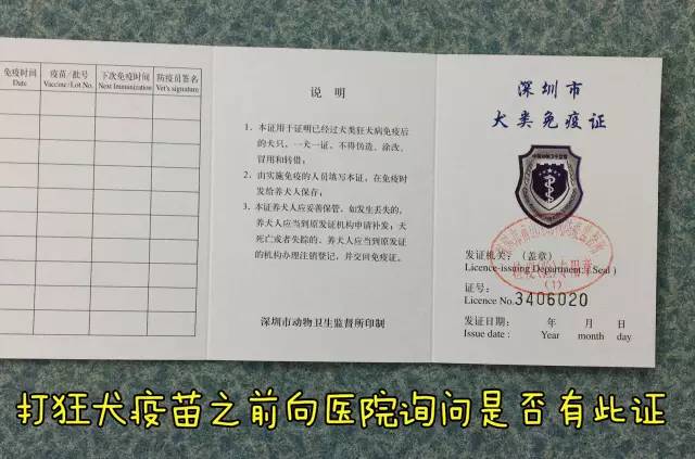 办狗证去别的城市怎么办,办狗证和不办狗证的区别