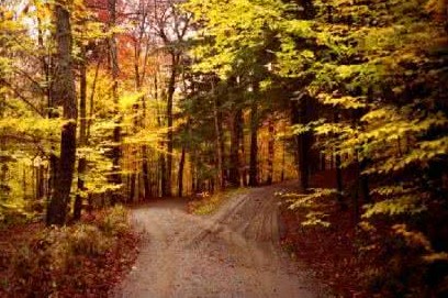 乐视崩盘事件,乐视被判赔超20亿