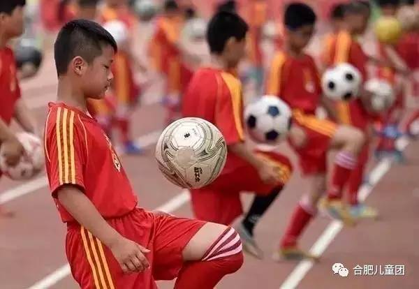 合肥市有资质的26所学校,合肥最新一批高校名单