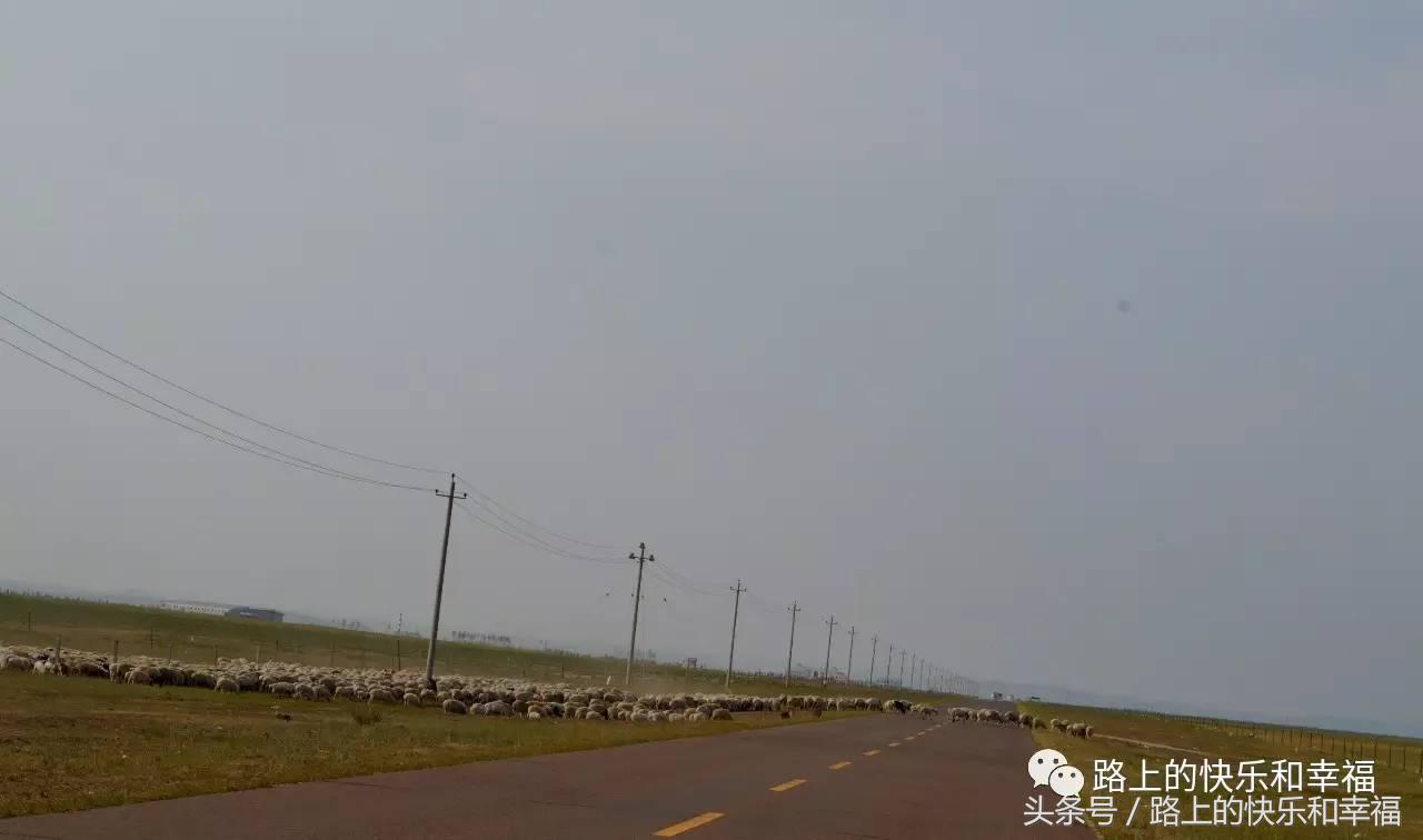 内蒙古呼伦贝尔大草原之行,内蒙呼伦贝尔大草原旅行